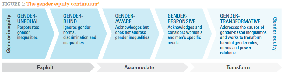 The gender equity continuum