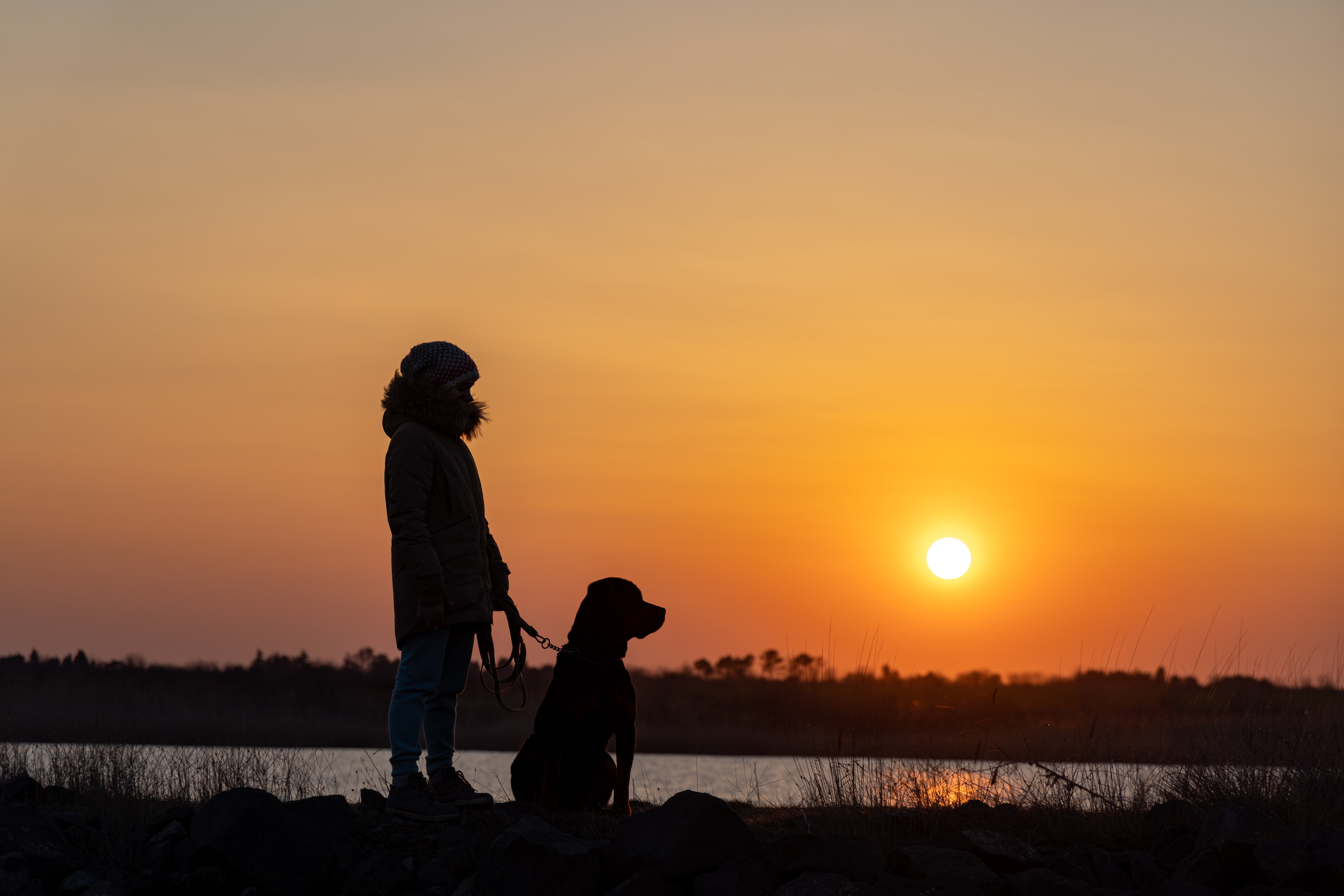 Woman walking dog by lake