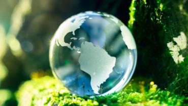 Bluish glass globe on green forest floor.