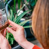 a person having a video call on their phone