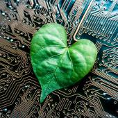 green leaf on top of a computer circuit board