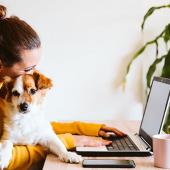 woman with dog sitting at the computer