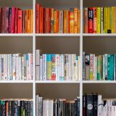 White bookshelf filled with books organized by color.