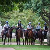 police on horseback in park during Charlottesville, VA, Unite the Right rally, 08/11/17